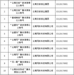 云南信息報旗下六產品獲首批互聯網新聞信息服務許可，賦能區域信息服務新格局